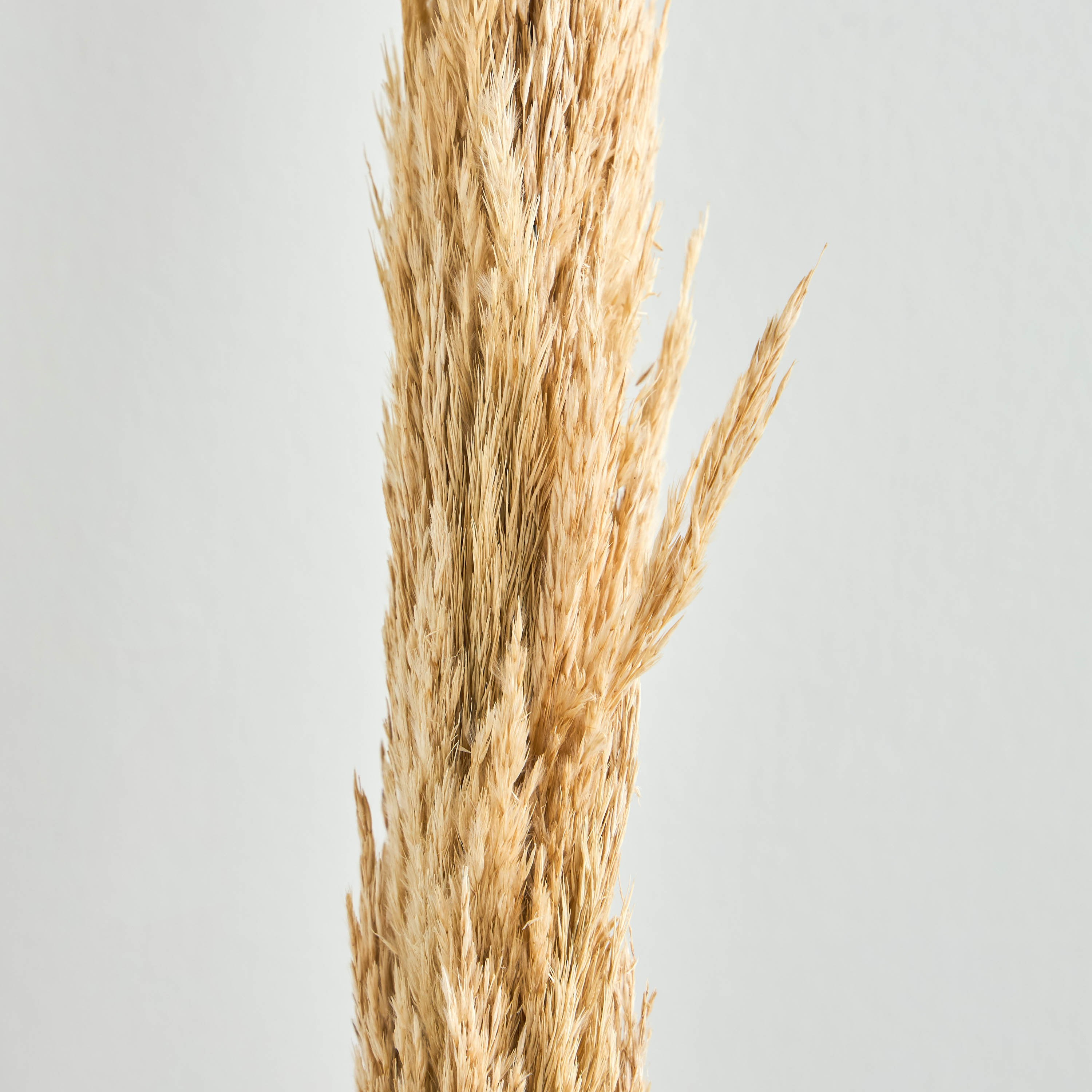Deco Nanal Flower - 145 cm-household-gardenandoutdoor-artificialflowersandplants-fillers-image-2