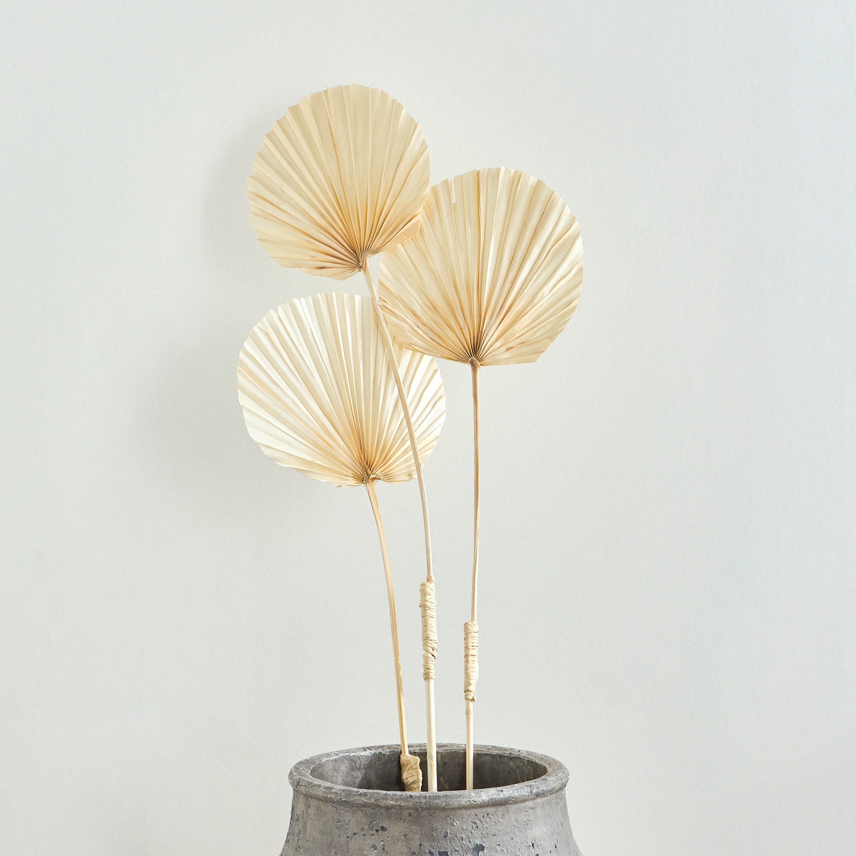 Deco 3-Piece Palm Spear Plant Set - 148 cm-household-gardenandoutdoor-artificialflowersandplants-fillers-image-1