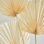 Deco 3-Piece Palm Spear Plant Set - 148 cm-household-gardenandoutdoor-artificialflowersandplants-fillers-image-3