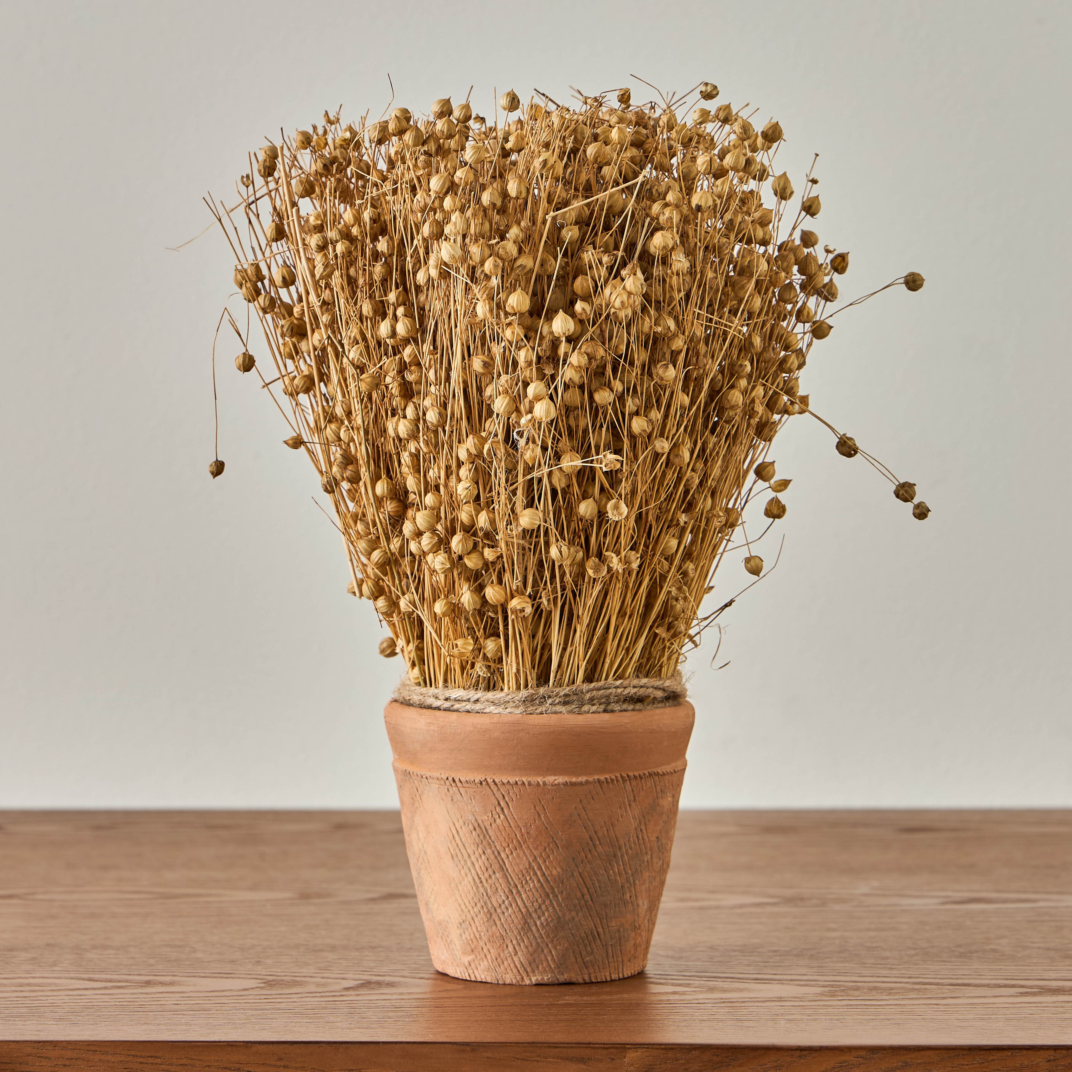 Harvest Tishi Grass in Terracotta Pot - 27 cm-household-gardenandoutdoor-artificialplants-pottedplants-image-1