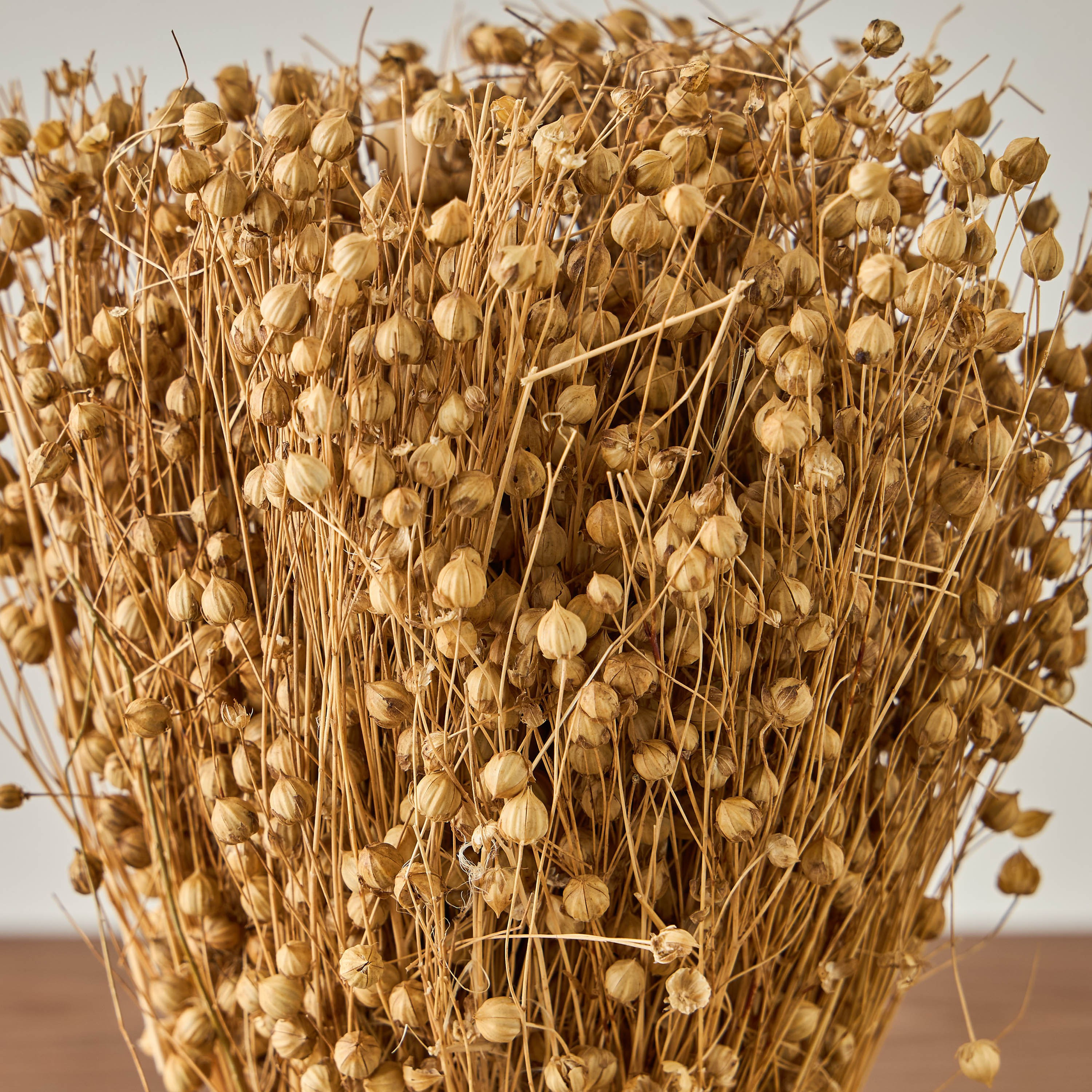 Harvest Tishi Grass in Terracotta Pot - 27 cm-household-gardenandoutdoor-artificialplants-pottedplants-image-2