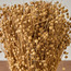 Harvest Tishi Grass in Terracotta Pot - 27 cm-household-gardenandoutdoor-artificialplants-pottedplants-image-2