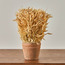 Harvest Avana Grass in Terracotta Pot - 27 cm-household-gardenandoutdoor-artificialplants-pottedplants-image-1