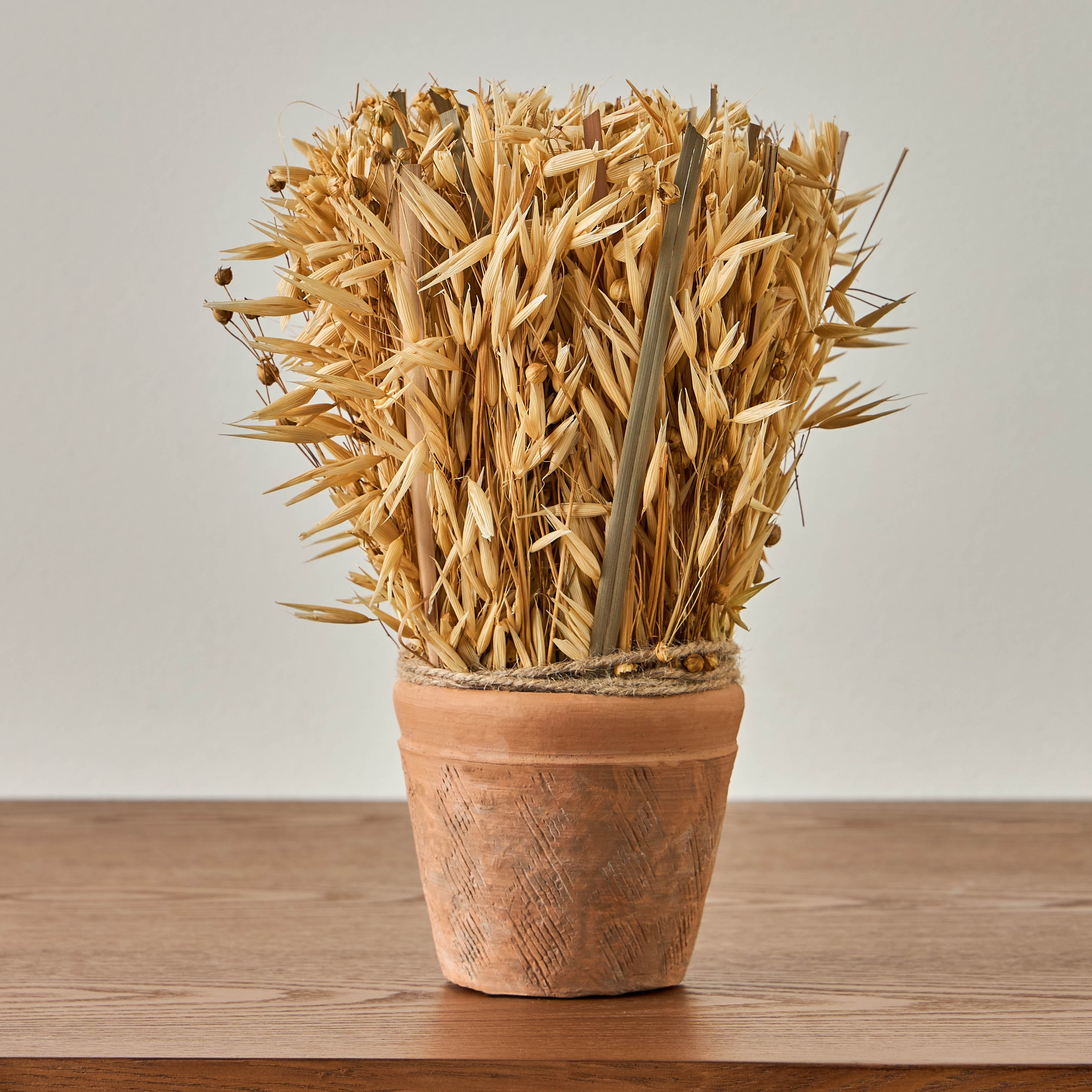 Harvest Tishi Avana Grass in Terracotta Pot - 25 cm-household-gardenandoutdoor-artificialflowersandplants-flowers-image-1