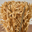 Harvest Tishi Avana Grass in Terracotta Pot - 25 cm-household-gardenandoutdoor-artificialflowersandplants-flowers-image-2