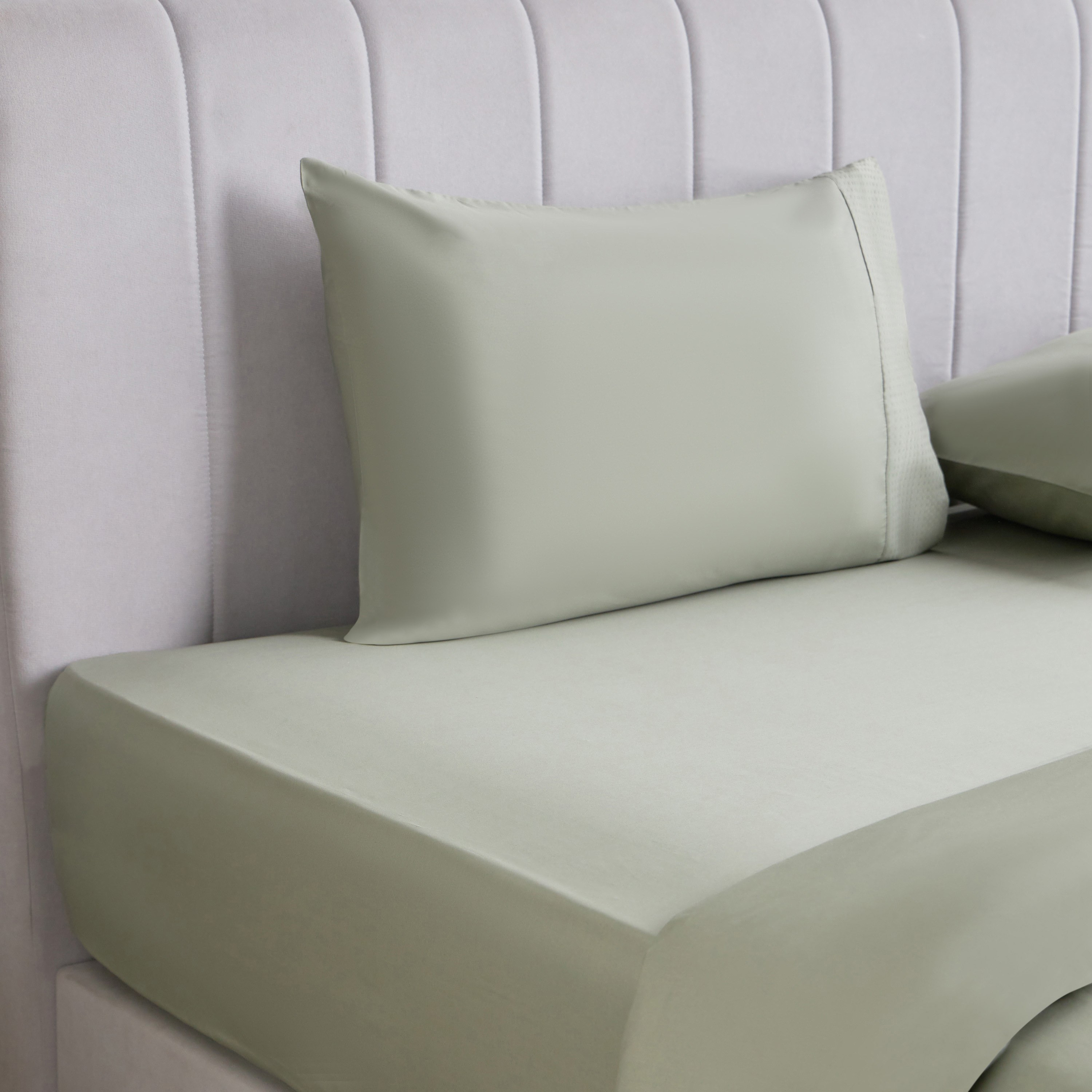 شرشف مطاطي كوين قطن بيركال بعدد خيوط 325 - إتيرنتي - 160x200 سم-household-bedding-sheetsandpillowcases-fittedsheets-image-3
