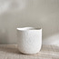 Lily Ceramic Planter - 14 cm-household-gardenandoutdoor-potsandplanters-planters-image-2