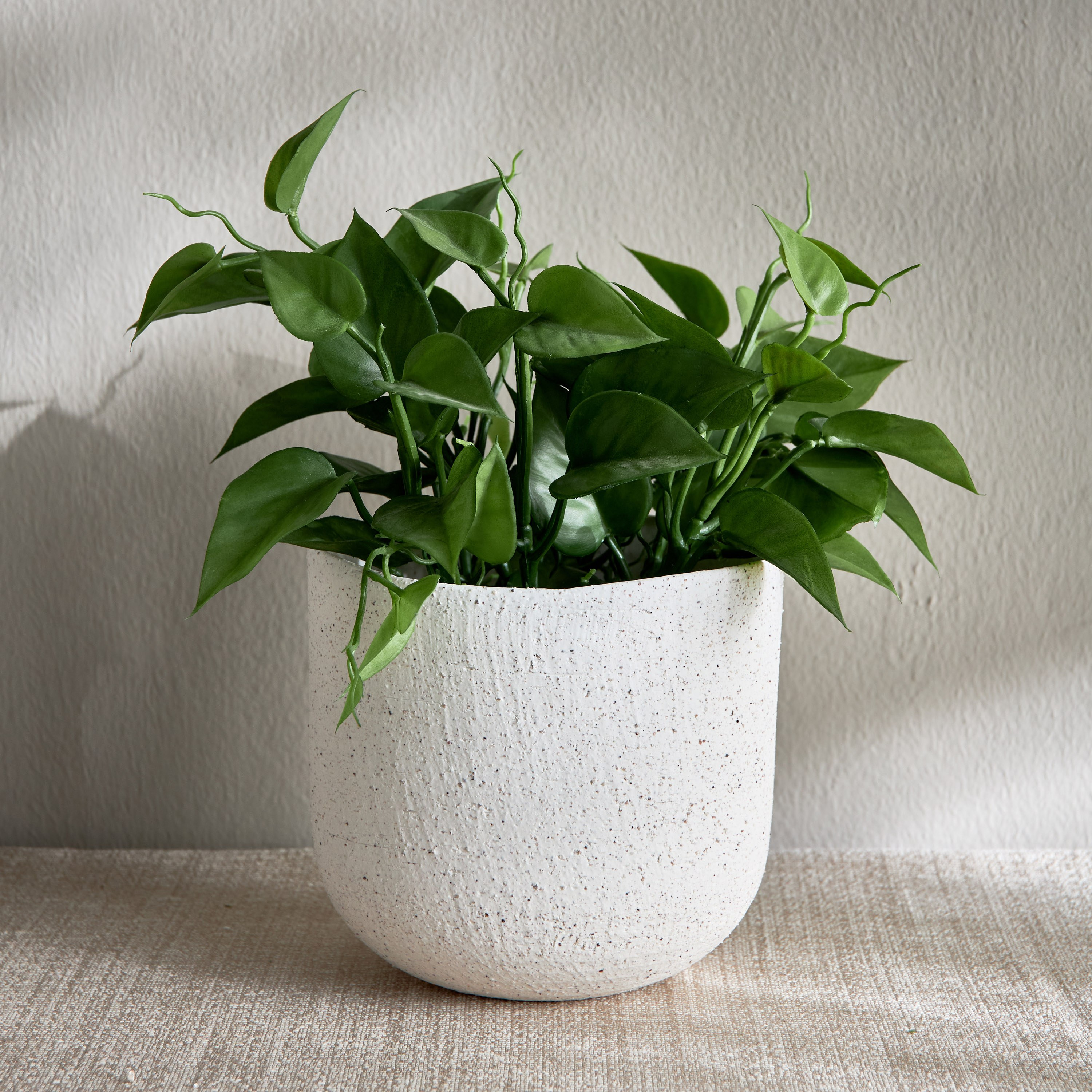 Lily Ceramic Planter - 16 cm-household-gardenandoutdoor-potsandplanters-planters-image-1
