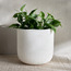 إناء زرع سيراميك - ليلي - 22 سم-binpromo_KSA_SNB_15092026-image-4