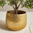 Kangri Alu Planter - 22 cm-household-gardenandoutdoor-potsandplanters-planters-image-1