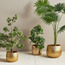 Kangri Alu Planter - 22 cm-household-gardenandoutdoor-potsandplanters-planters-image-4