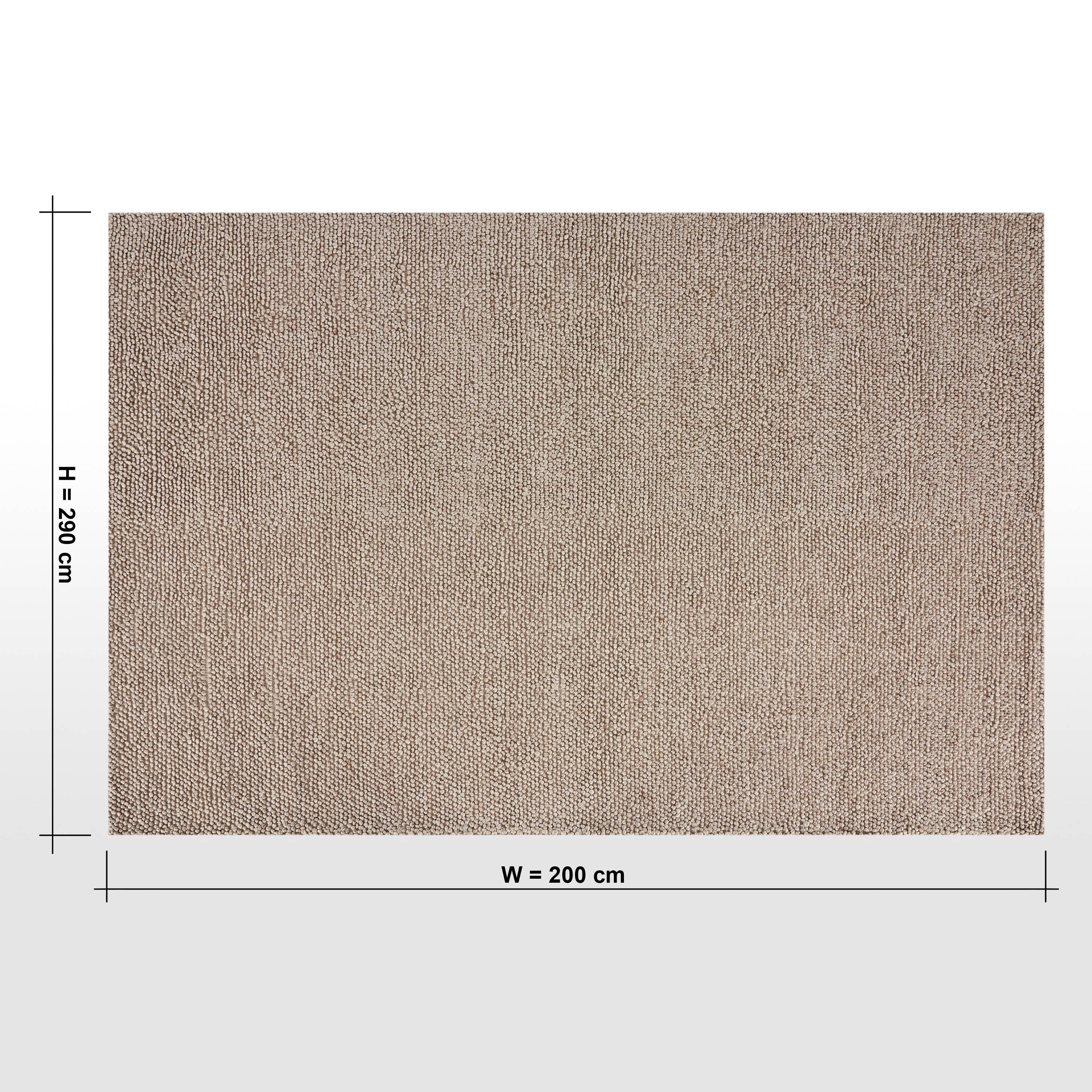 سجادة منسوجة يدويًا - ريجان - 290x200 سم-household-rugsandcarpets-rugs-image-6