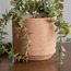 أصيص زرع سيراميك - ستوكو - 14 سم-PROMO_HC_SA_TESTBINPROMO_080926-image-4