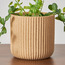 إناء زرع سيراميك مضلع - ستاكو - 13 سم-household-gardenandoutdoor-potsandplanters-planters-image-8