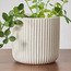 إناء زرع سيراميك مضلع - ستاكو - 13 سم-household-gardenandoutdoor-potsandplanters-planters-image-4