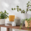 إناء زرع سيراميك مضلع - ستاكو - 13 سم-household-gardenandoutdoor-potsandplanters-planters-image-1