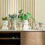 إناء زرع سيراميك مرقط - هاري بيرش - 16 سم-PROMO_HC_SA_TESTBINPROMO_080926-image-1