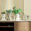إناء زرع سيراميك مرقط - هاري ليزي - 14 سم-PROMO_HC_SA_TESTBINPROMO_080926-image-1