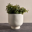 إناء زرع سيراميك - أدن- 21 سم-household-gardenandoutdoor-potsandplanters-planters-image-4