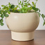 إناء زرع سيراميك - أدن - 13 سم-household-gardenandoutdoor-potsandplanters-planters-image-4