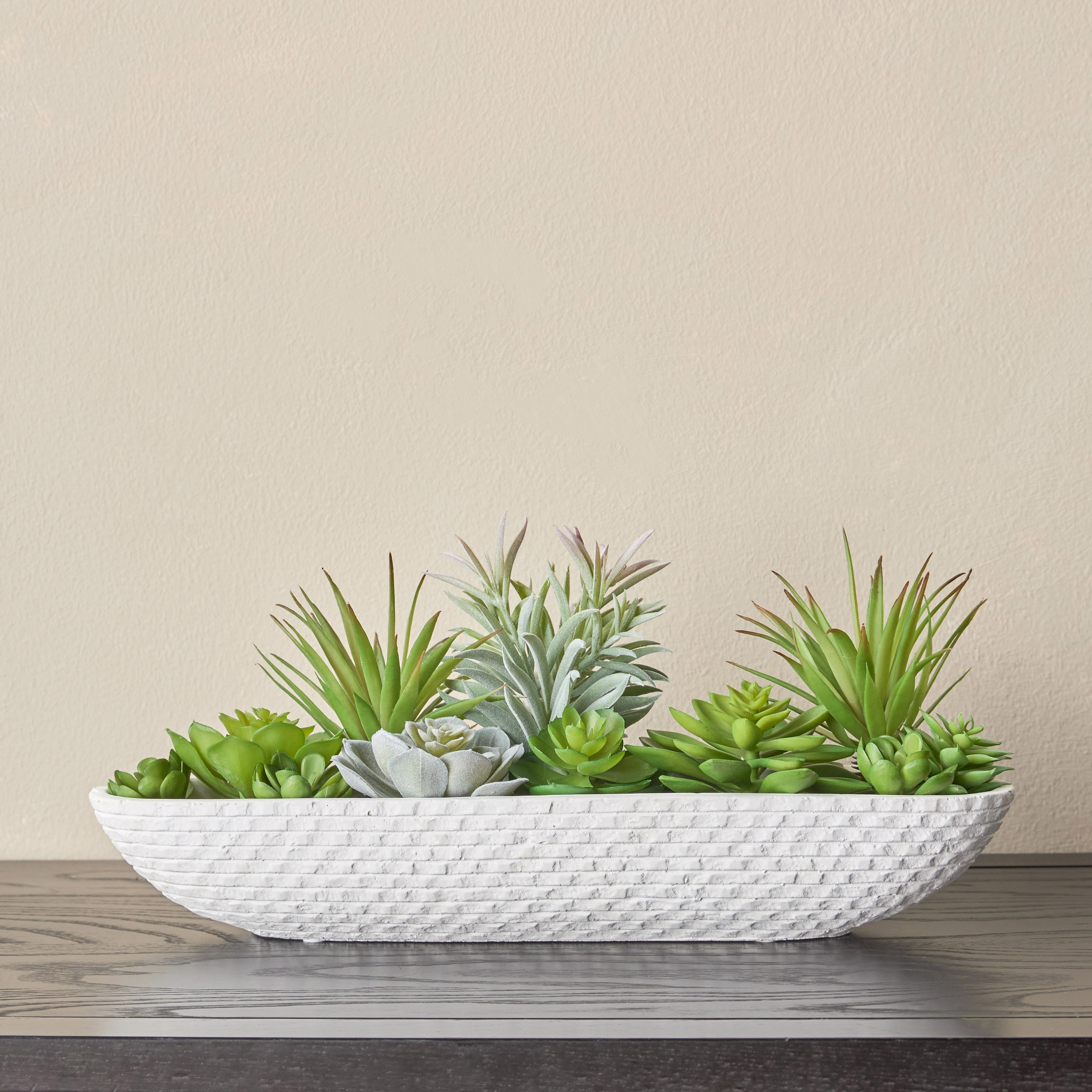 Noah Aeonium Succulent Garden - 15 cm-household-gardenandoutdoor-artificialplants-succulents-image-1