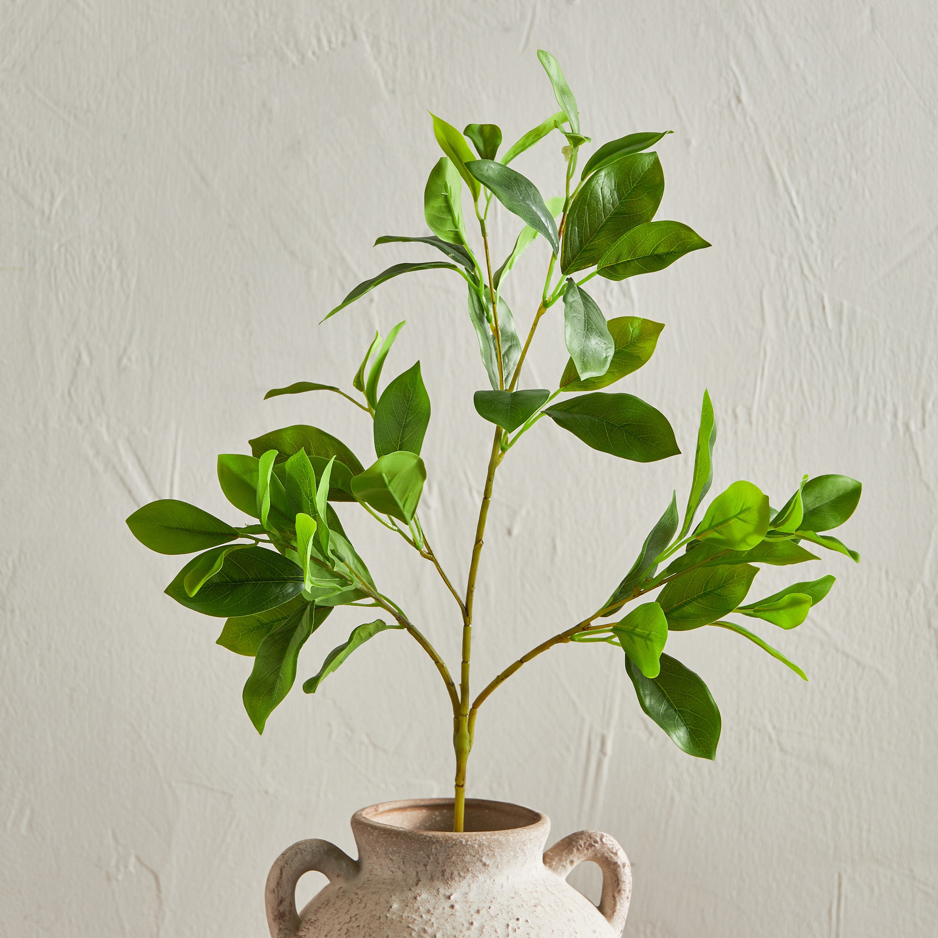 Sprig Peperomia Bush Branchlet - 25 cm-household-gardenandoutdoor-artificialflowersandplants-fillers-image-1