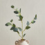 فرع أوراق أوكالبتوس - 38 سم-household-gardenandoutdoor-artificialflowersandplants-fillers-image-3