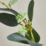 فرع أوراق أوكالبتوس - 38 سم-household-gardenandoutdoor-artificialflowersandplants-fillers-image-2