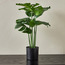 Stark Monstera Plant with Pot - 30 cm-household-gardenandoutdoor-artificialplants-pottedplants-image-1