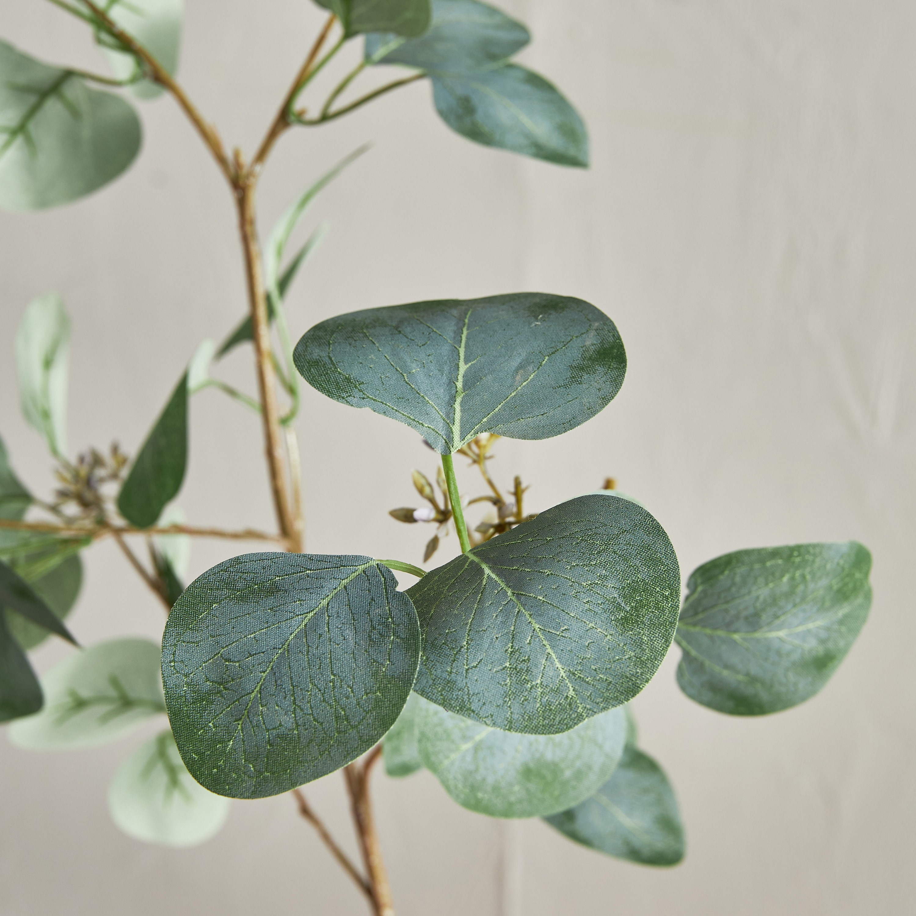 Sprig Eucalyptus Leaf Branchlet - 113 cm-household-gardenandoutdoor-artificialflowersandplants-fillers-image-2
