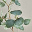 Sprig Eucalyptus Leaf Branchlet - 113 cm-binpromo_KSA_Alrajhi_17062026-image-2
