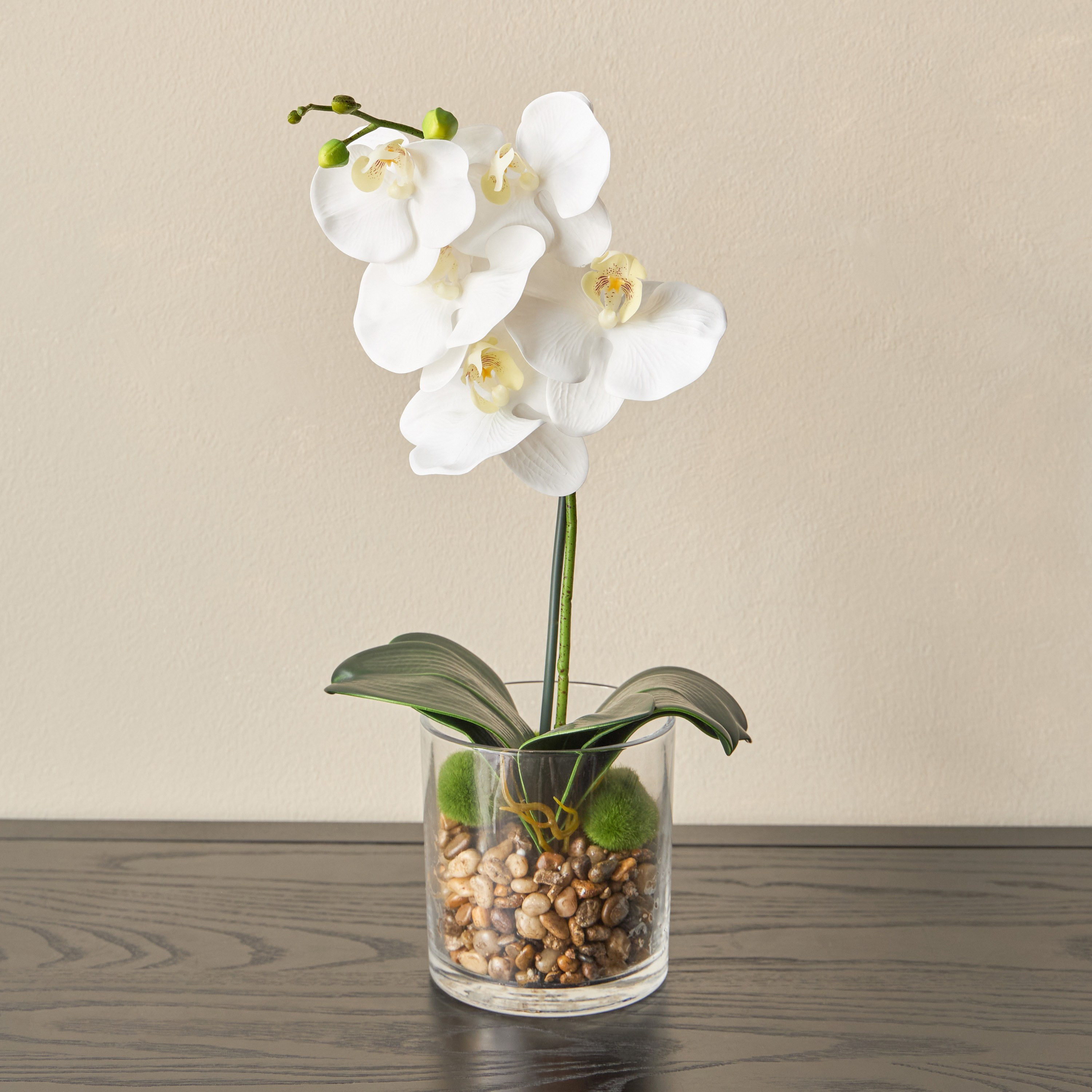 Clarity Orchid in Glass Pot - 18 cm-household-gardenandoutdoor-artificialflowersandplants-flowers-image-1