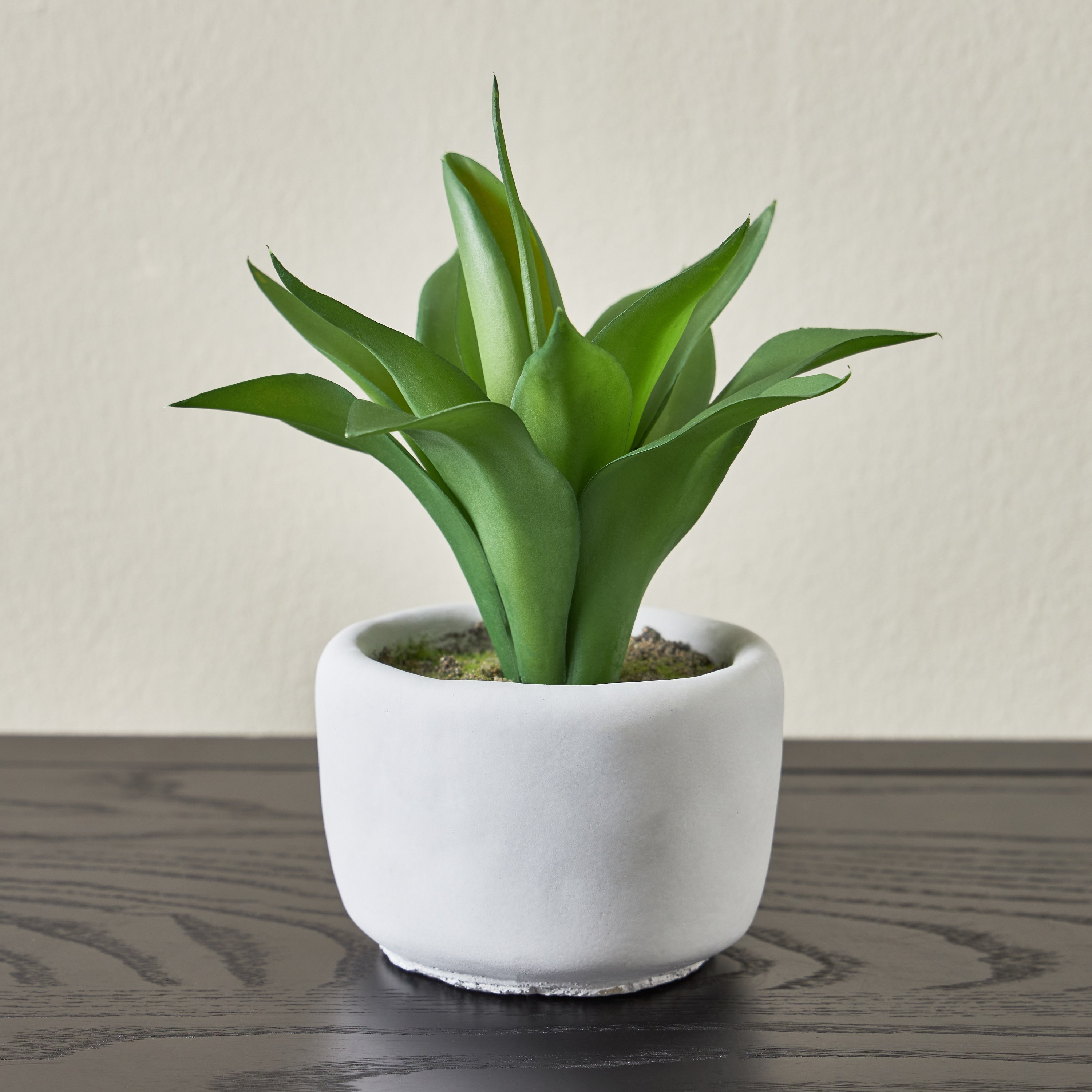 Terra Mini Succulent Agave Cement Pot - 19 cm-household-gardenandoutdoor-artificialplants-succulents-image-1