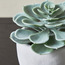 Terra Mini Succulent Atlantis Cement Pot - 14 cm-household-gardenandoutdoor-artificialplants-succulents-image-2