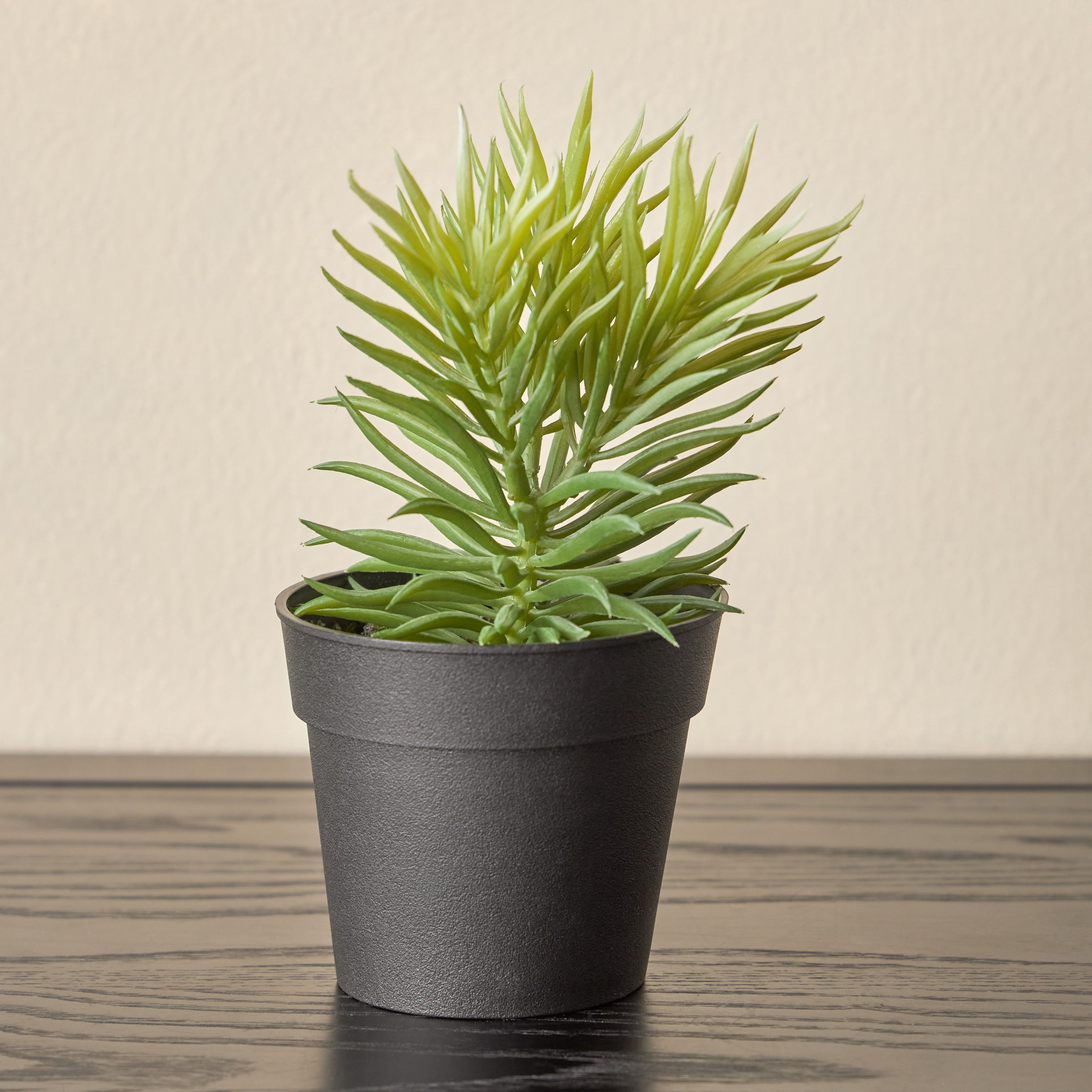 Stark Succulent in Pot - 10 cm-household-gardenandoutdoor-artificialplants-succulents-image-1