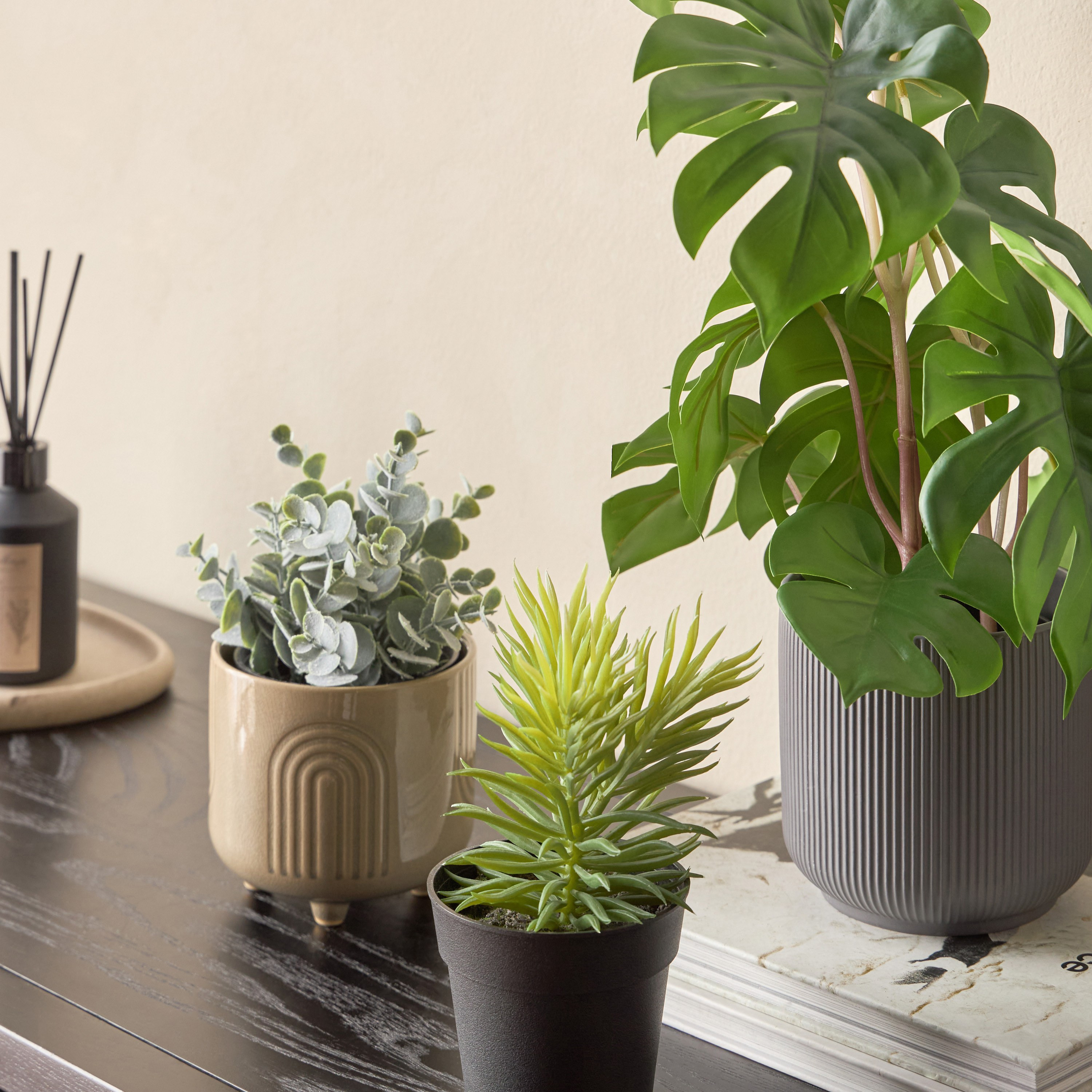 Stark Succulent in Pot - 10 cm-household-gardenandoutdoor-artificialplants-succulents-image-3