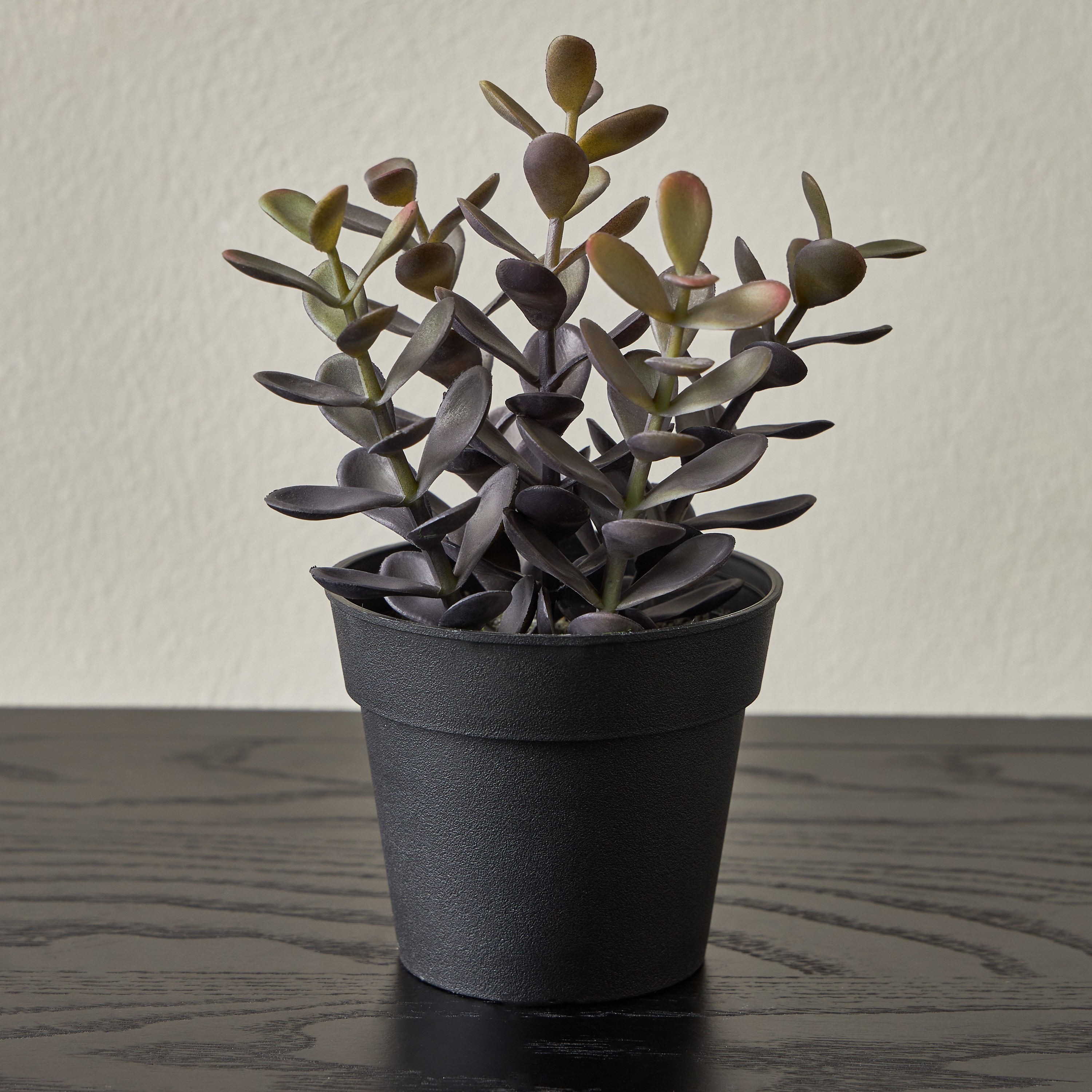 Stark Succulent with Pot - 17 cm-household-gardenandoutdoor-artificialplants-succulents-image-1