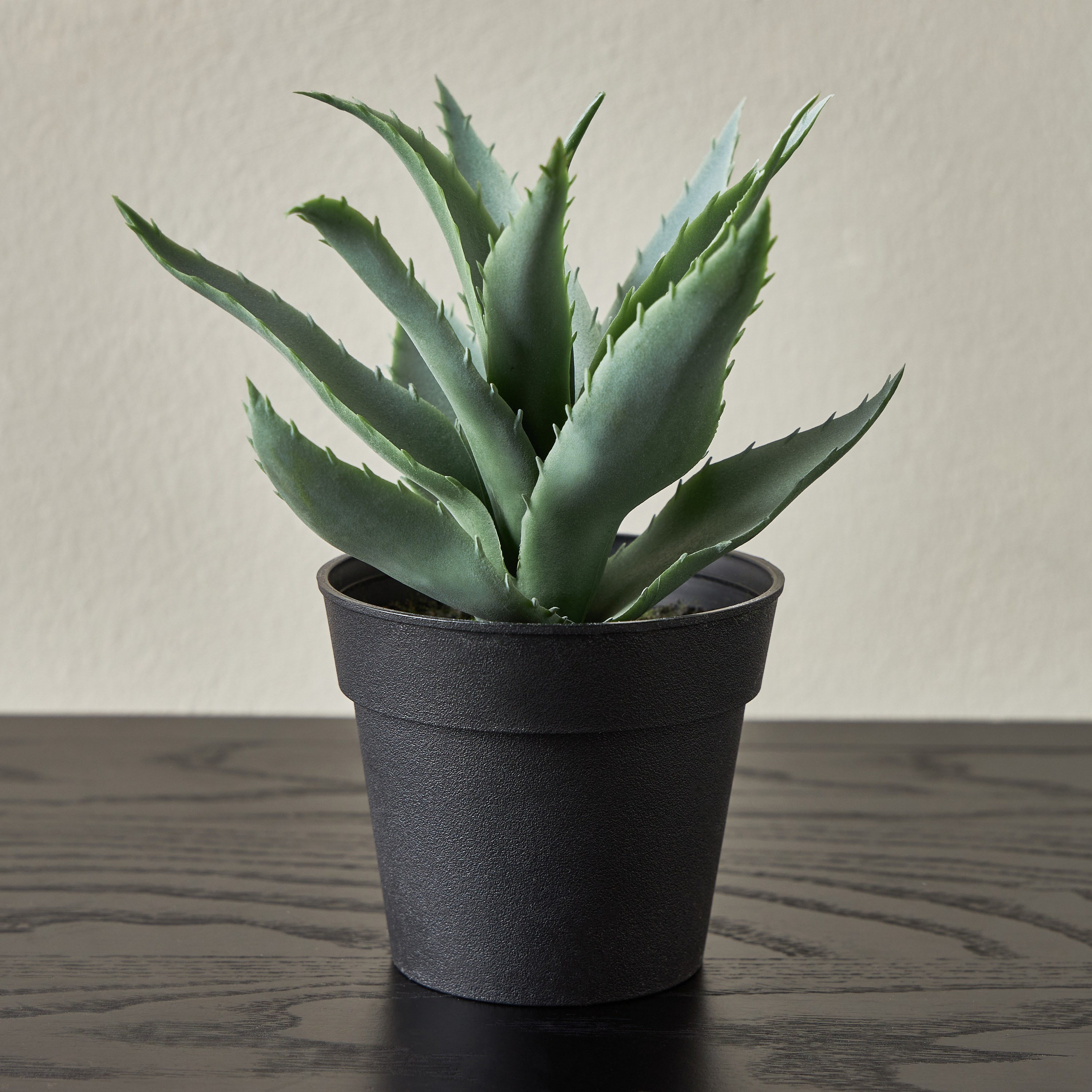 Stark Agave Plant with Pot - 19 cm-household-gardenandoutdoor-artificialplants-succulents-image-1