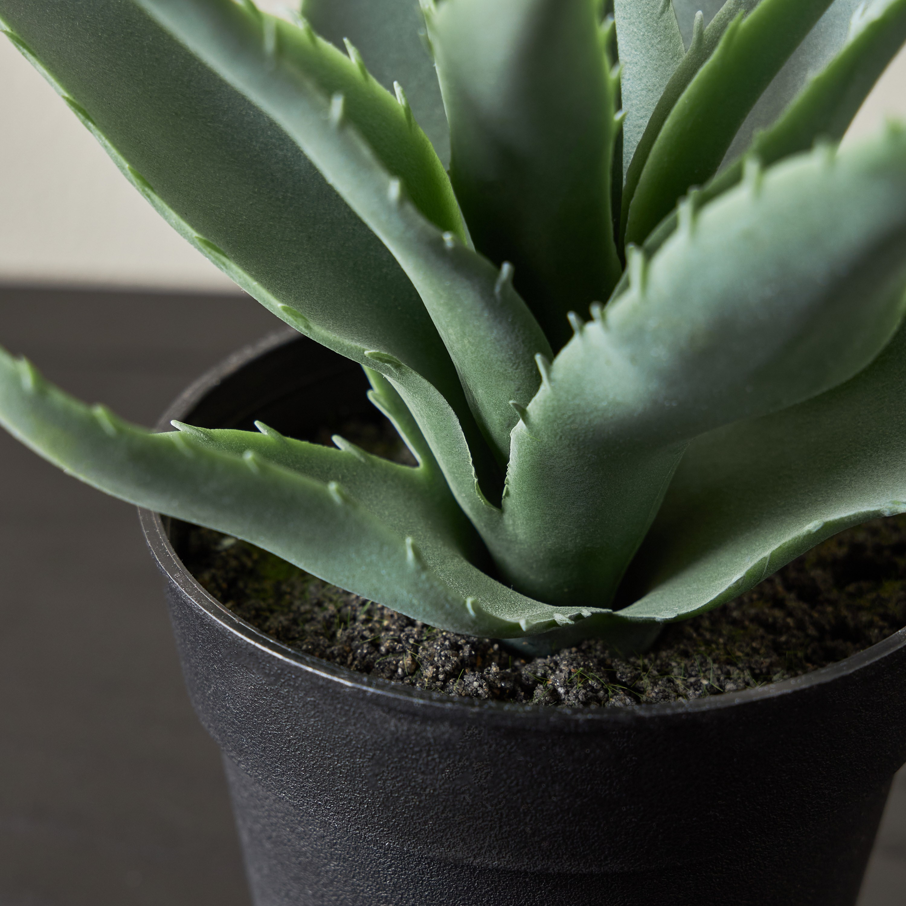 Stark Agave Plant with Pot - 19 cm-household-gardenandoutdoor-artificialplants-succulents-image-2