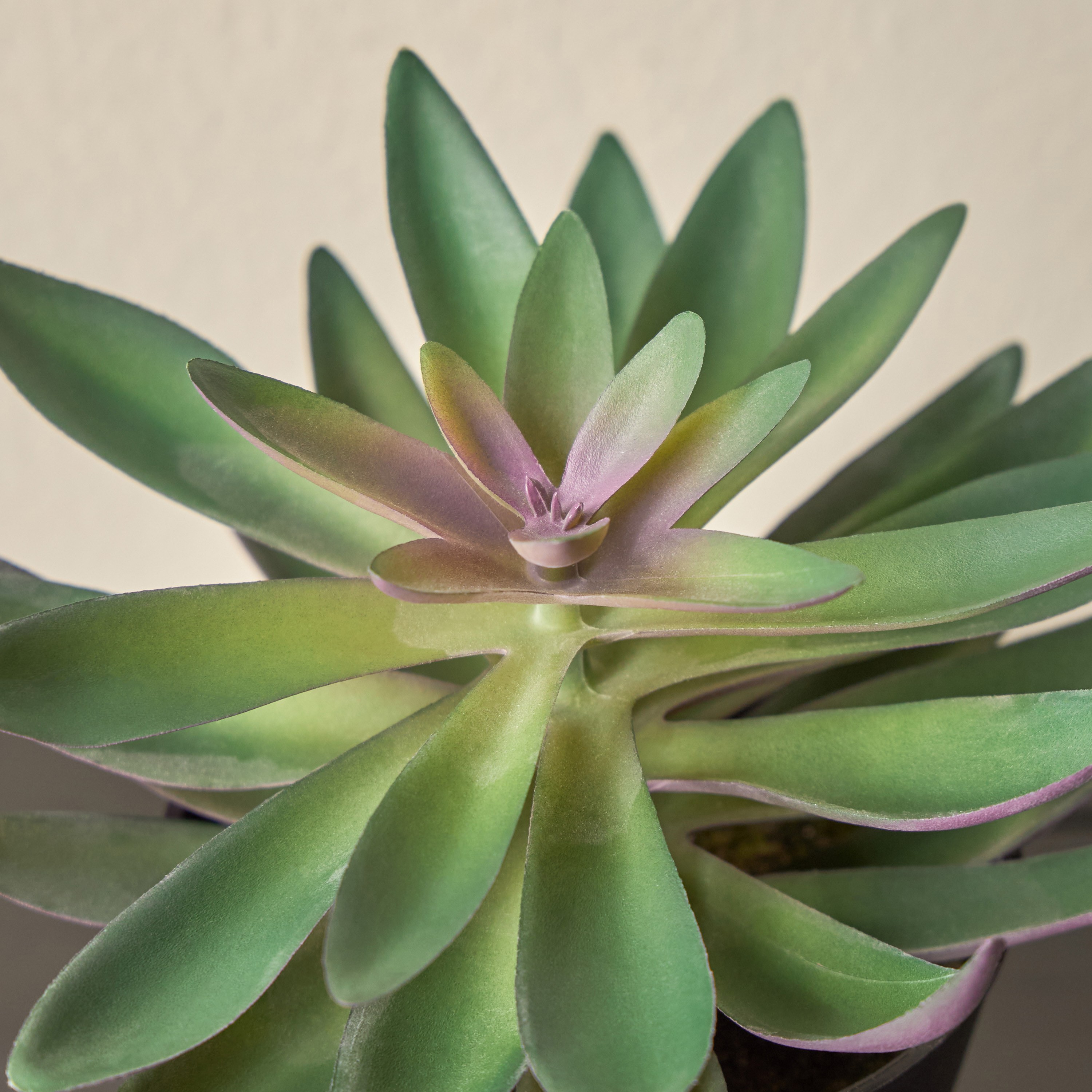 Stark Succulent with Pot - 17 cm-household-gardenandoutdoor-artificialplants-succulents-image-2