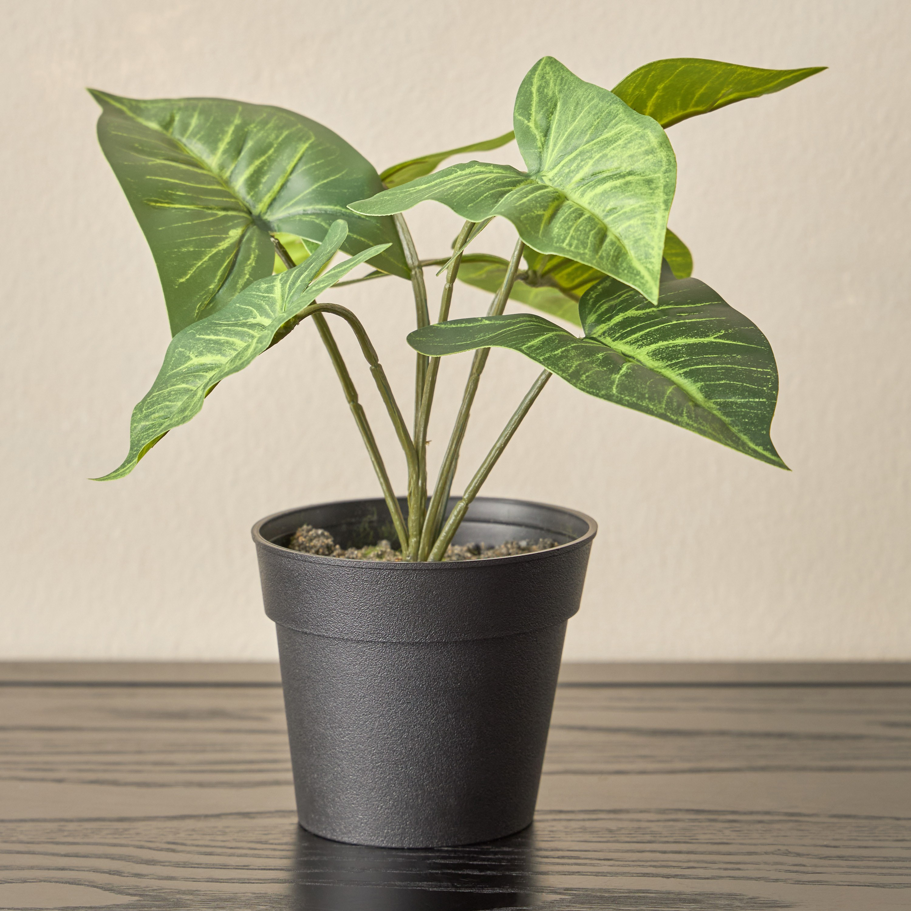 Stark Arrowhead Syngonium in Pot - 13 cm-household-gardenandoutdoor-artificialplants-pottedplants-image-1