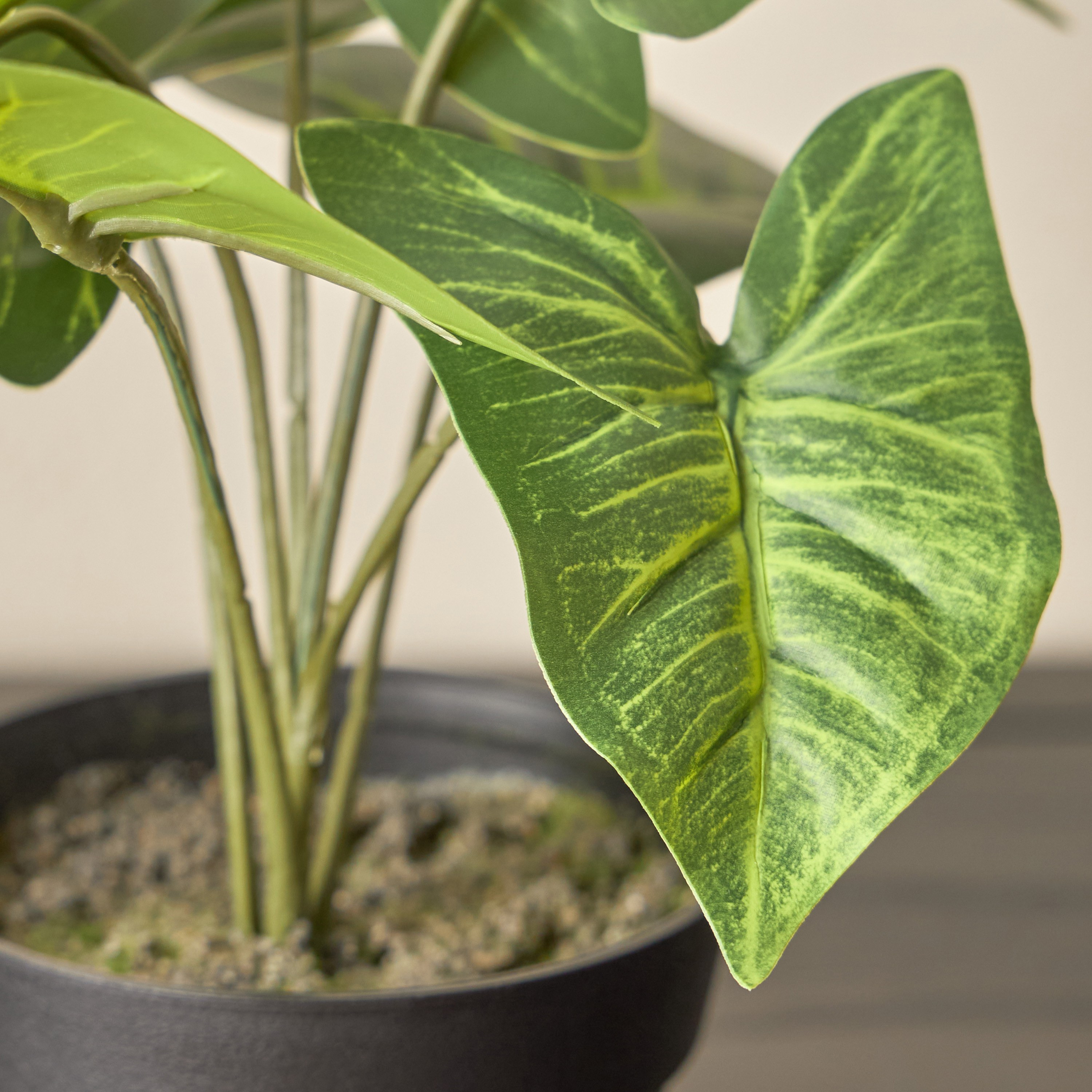 Stark Arrowhead Syngonium in Pot - 13 cm-household-gardenandoutdoor-artificialplants-pottedplants-image-2