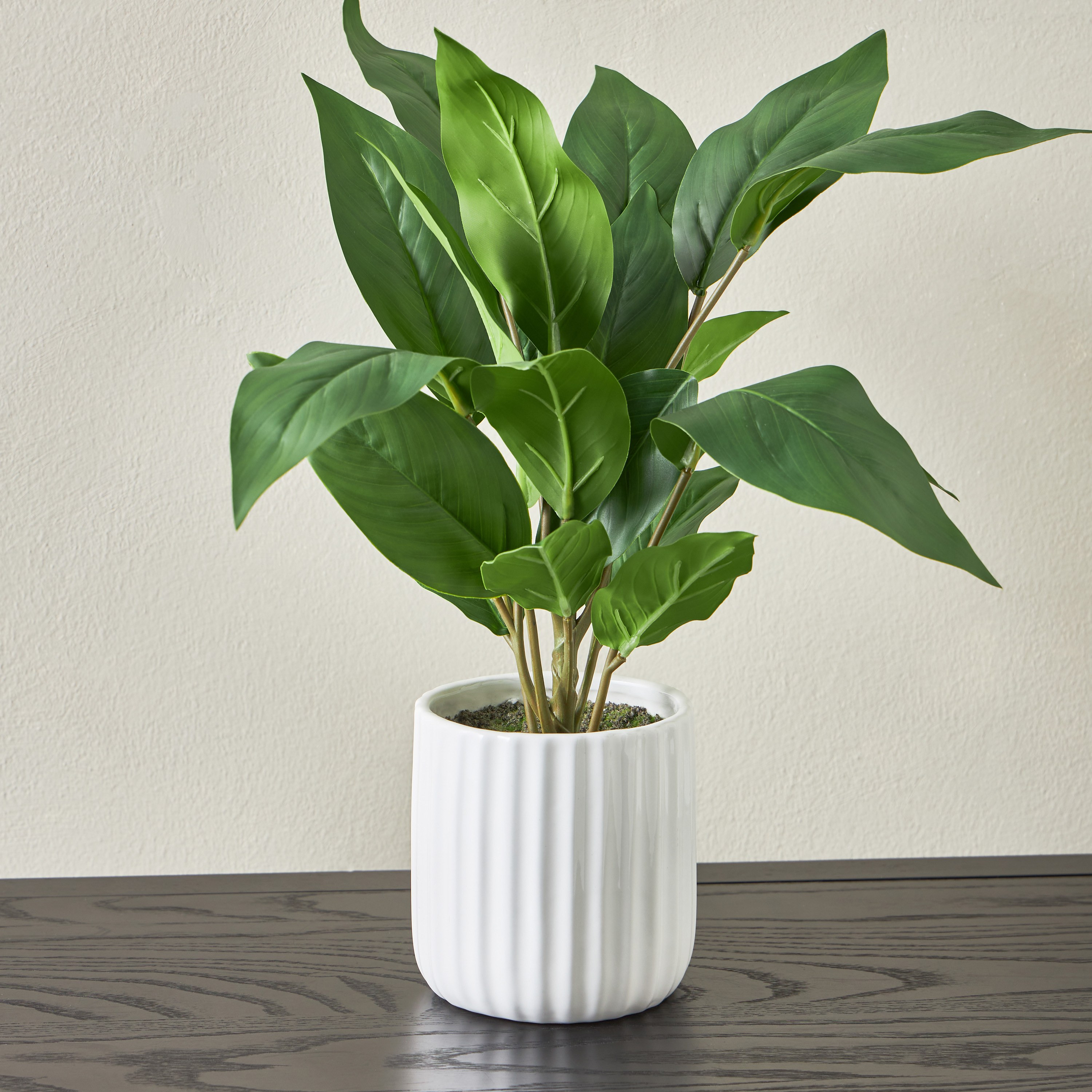 Steph Philodendron Plant with Pot - 46 cm-household-gardenandoutdoor-artificialplants-pottedplants-image-1