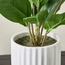Steph Philodendron Plant with Pot - 46 cm-household-gardenandoutdoor-artificialplants-pottedplants-image-2