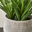 نبات نخيل باندان بإناء زرع - باركا - 53 سم-household-gardenandoutdoor-artificialplants-pottedplants-image-2