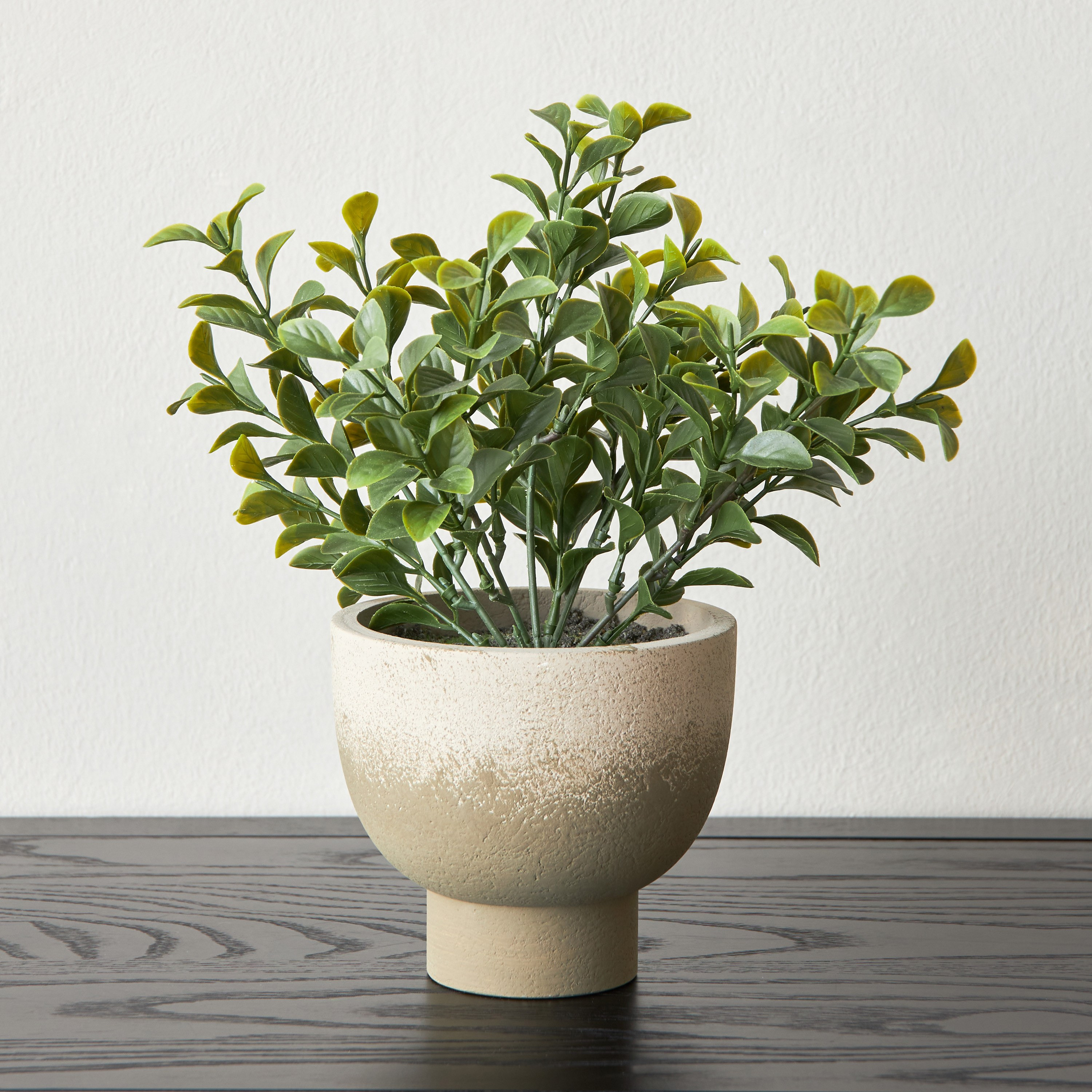 Terra Shrub in Footed Pot - 18 cm-household-gardenandoutdoor-artificialplants-pottedplants-image-1