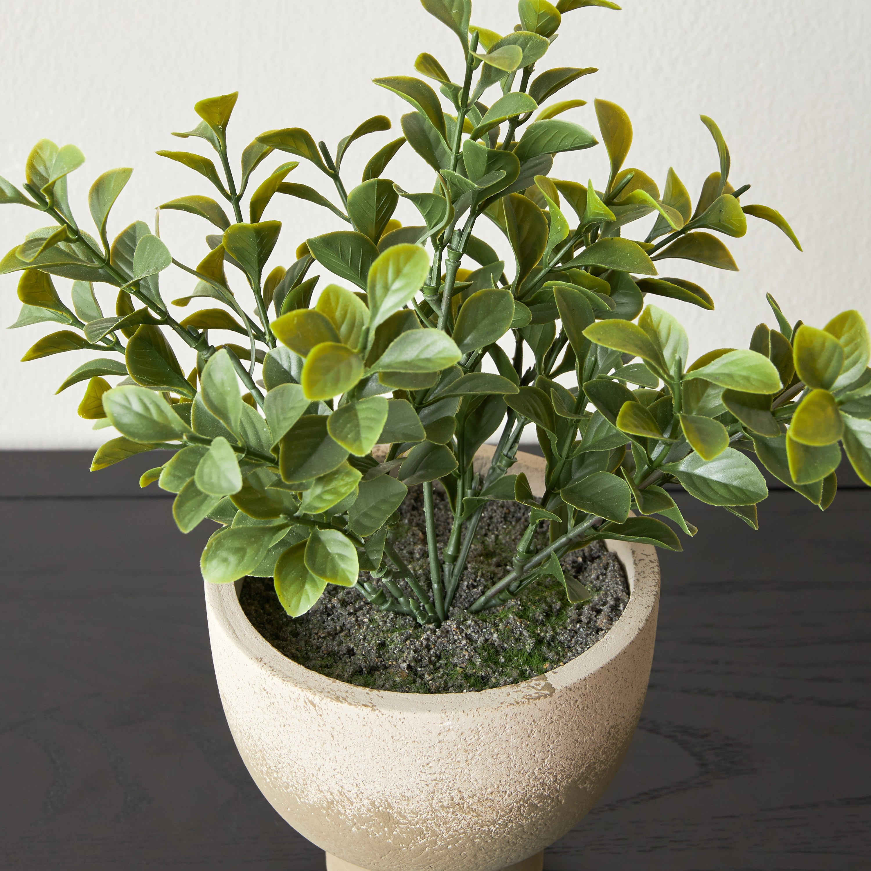 Terra Shrub in Footed Pot - 18 cm-household-gardenandoutdoor-artificialplants-pottedplants-image-2