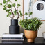 Terra Shrub in Footed Pot - 20 cm-household-gardenandoutdoor-artificialplants-pottedplants-image-3