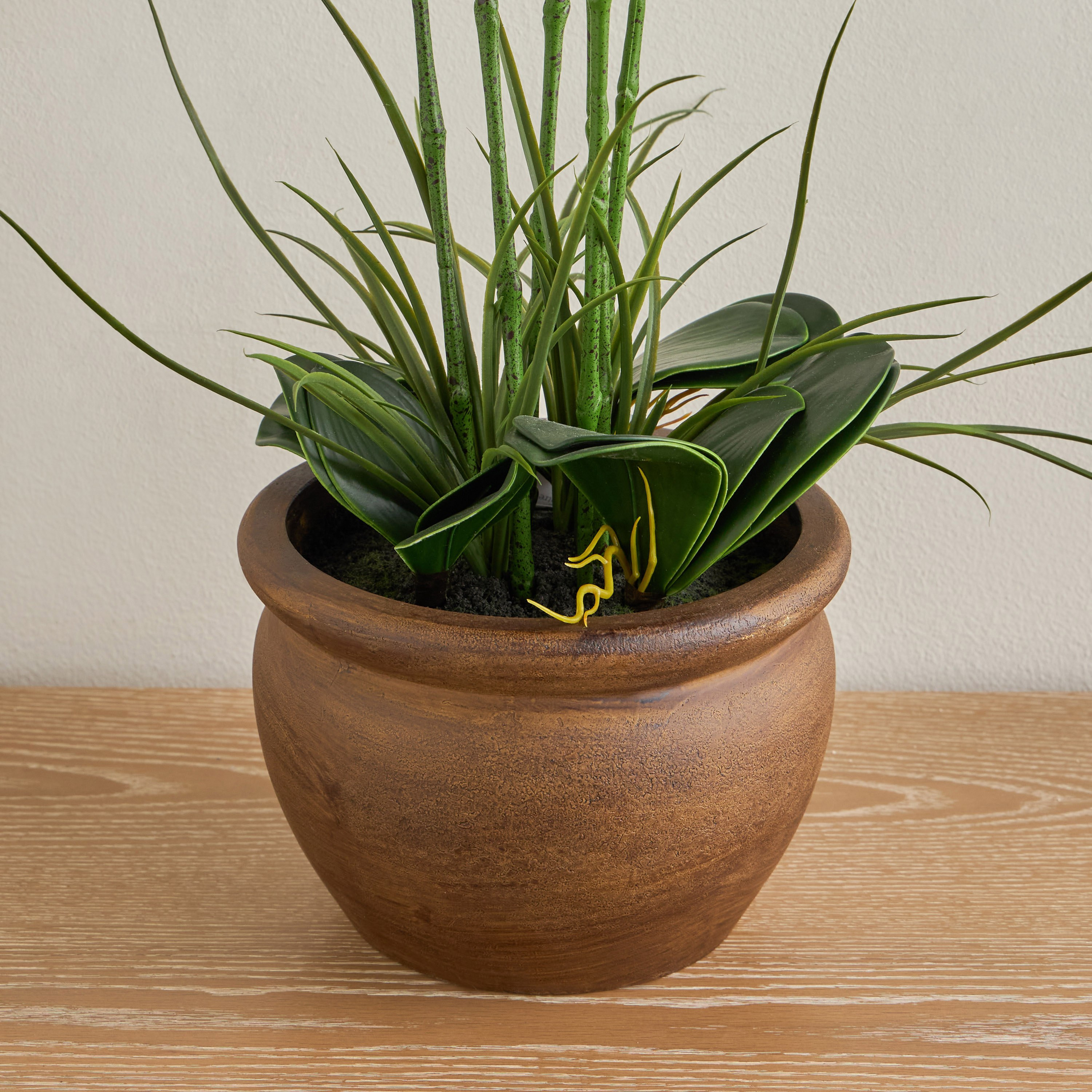 Sierra Orchid in Pot - 53 cm-household-gardenandoutdoor-artificialflowersandplants-flowers-image-3