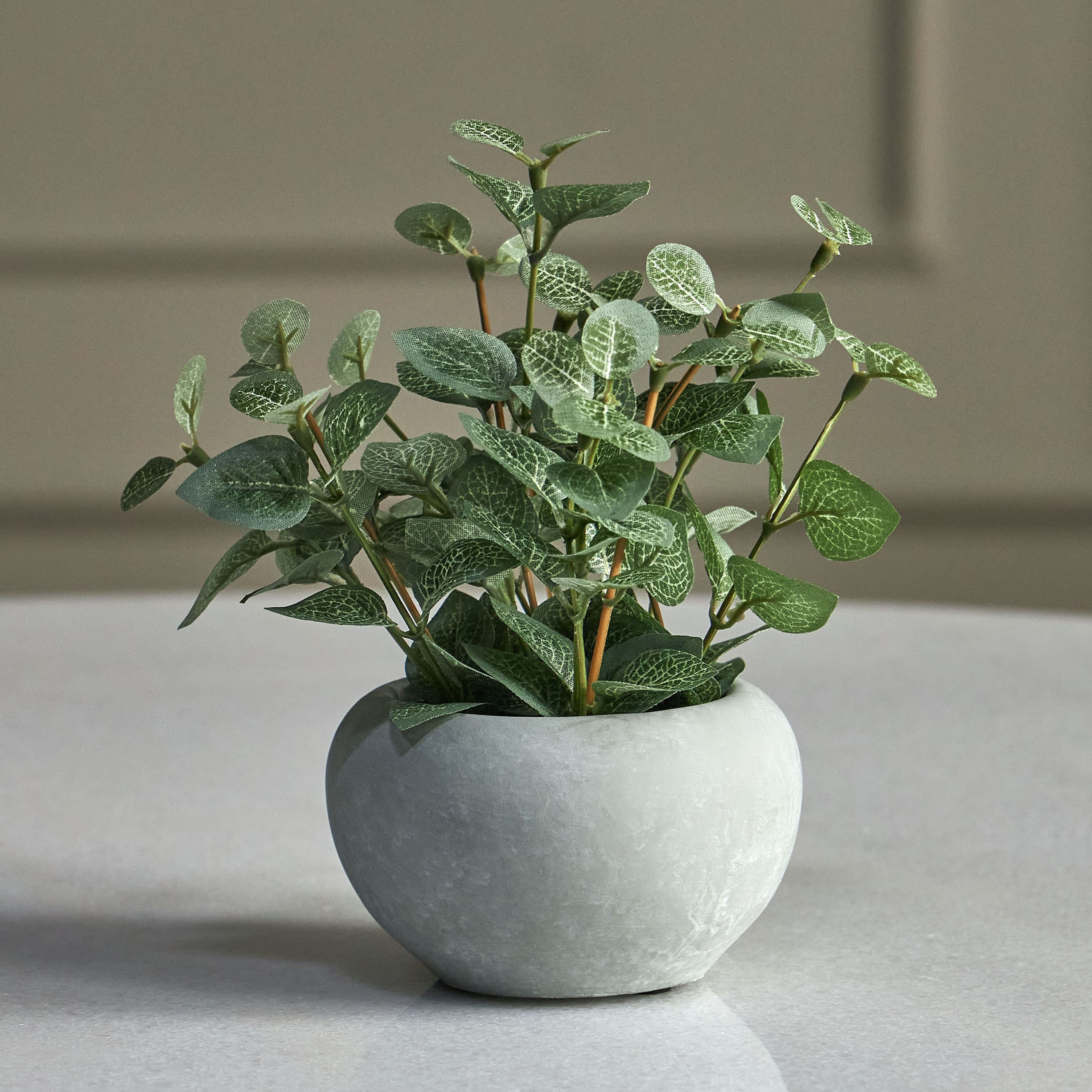 Pixie Eucalyptus Plant in Pot - 13 cm-household-gardenandoutdoor-artificialplants-pottedplants-image-1